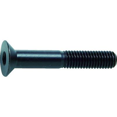 TRUSCO Hexagon Socket Head Cap Screws B730850