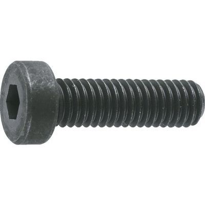 TRUSCO Hexagon Socket Head Cap Screws B0810508