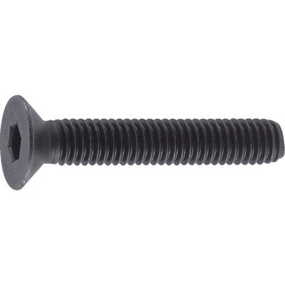TRUSCO Hexagon Socket Head Cap Screws B730320