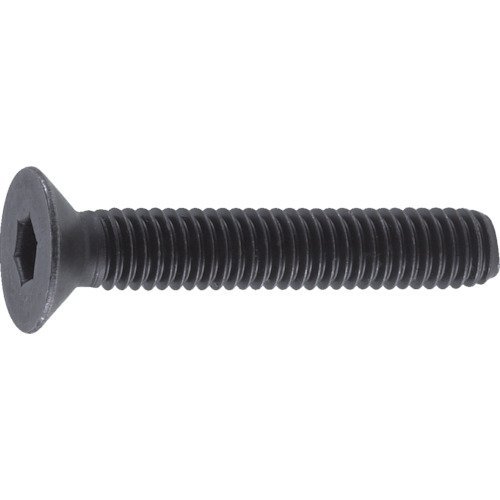 TRUSCO Hexagon Socket Head Cap Screws B730320