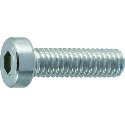 TRUSCO Hexagon Socket Head Cap Screws B0890306