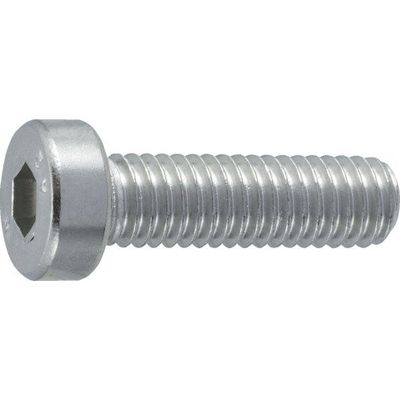 TRUSCO Hexagon Socket Head Cap Screws B0890620