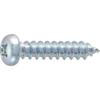 TRUSCO Unichrome Pan Head Tapping Screw B707-0325 view 1
