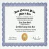 Iran Iranian National Pride Certification: Custom Gag Nationality Family History Genealogy Certificate (Funny Customized Joke Gift - Novelty Item) view 1