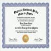 Nigeria Nigerian National Pride Certification: Custom Gag Nationality Family History Genealogy Certificate (Funny Customized Joke Gift - Novelty Item) view 1