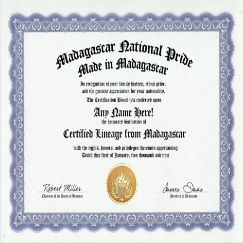 Madagascar Malagasy National Pride Certification: Custom Gag Nationality Family History Genealogy Certificate (Funny Customized Joke Gift - Novelty Item)