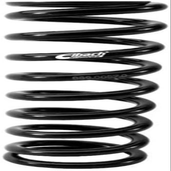 Eibach Springs 889.0051.1 Ems Moto Rear Shock Spring Kit