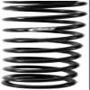 Eibach Springs 889.0051.1 Ems Moto Rear Shock Spring Kit view 1