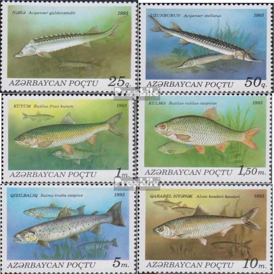 Aserbaidschan 98-103 (Complete.Issue.) unmounted Mint/Never hinged ** MNH 1993 Fish (Stamps for Collectors) Water Animals