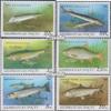 Aserbaidschan 98-103 (Complete.Issue.) unmounted Mint/Never hinged ** MNH 1993 Fish (Stamps for Collectors) Water Animals view 1