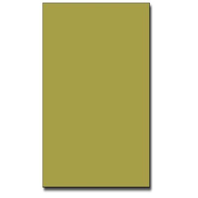 Bazzill Orange Peel Texture Cardstock Orange Peel - 8.5 x 11 - Celery 303703