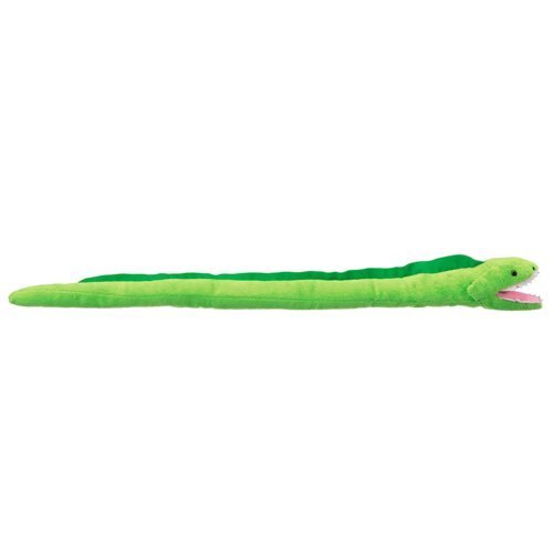 Moray EEL 32" by Wild Life Artist