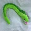 Moray EEL 32" by Wild Life Artist view 2