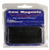 3PK Cera Rumen Magnet view 1