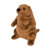 Douglas Mr G. Groundhog Plush Stuffed Animal view 1