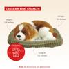 Perfect Petzzz Original Petzzz Cavalier King Charles, Realistic, Lifelike Stuffed Interactive Pet Toy, Companion Pet Dog with 100% Handcrafted Synthetic Fur view 3