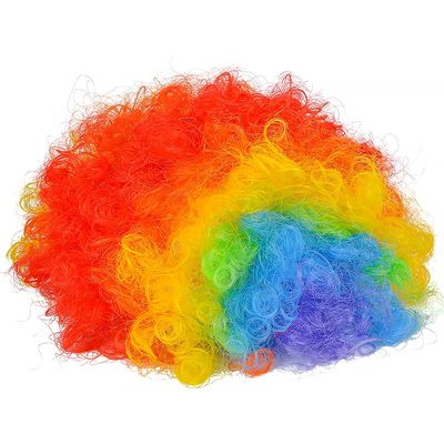 Rhode Island Novelty RAINBOW CLOWN WIG