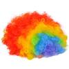 Rhode Island Novelty RAINBOW CLOWN WIG view 1