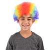 Rhode Island Novelty RAINBOW CLOWN WIG view 2