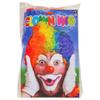 Rhode Island Novelty RAINBOW CLOWN WIG view 3