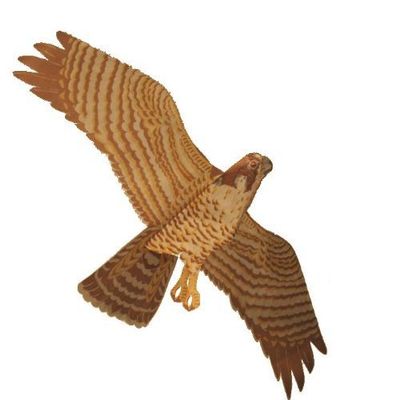Jackite Assembled Peregrine Falcon Bird Kite Wind Sock