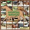 Horse Bingo Educational Game | 6 Picture Boards, 42 Informative Cards & Bingo Chips | Fun for All Ages | Made in The USA view 1