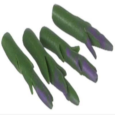 Dollhouse Miniature Artisan Asparagus Spears Set of 4