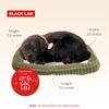 Perfect Petzzz - Original Petzzz Black Lab, Realistic, Lifelike Stuffed Interactive Pet Toy, Companion Pet Dog with 100% Handcrafted Synthetic Fur view 3