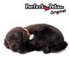 Perfect Petzzz - Original Petzzz Black Lab, Realistic, Lifelike Stuffed Interactive Pet Toy, Companion Pet Dog with 100% Handcrafted Synthetic Fur view 4