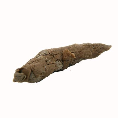 Party Pooper Fake Human Poop (6 Pack)