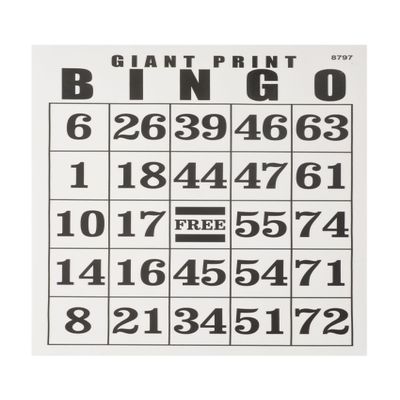 MAGNIFYING AIDS Giant Print Bingo Card