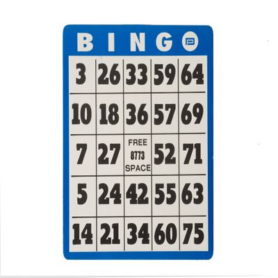Large Print Bingo Card