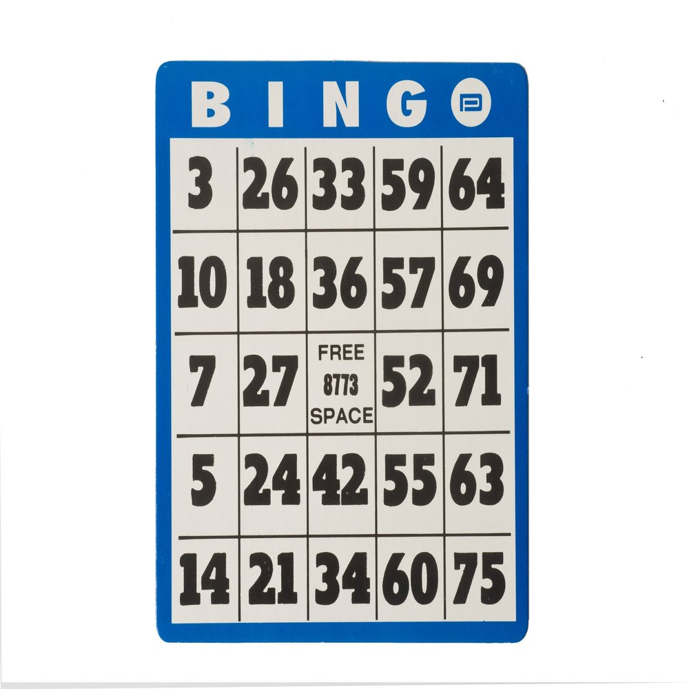 Large Print Bingo Card