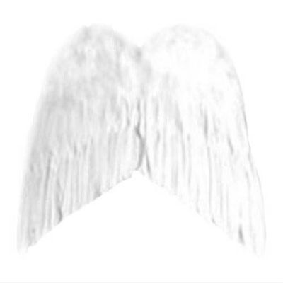 L wing of angel (japan import)