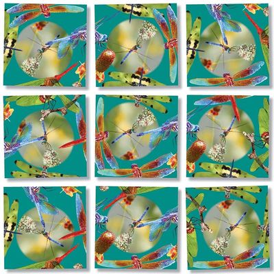 B. Dazzle - Dragonflies 9 Piece Scramble Square Puzzle - Challenging Brain Teaser for Children & Adults-Boosts Cognitive Function & Problem Solving