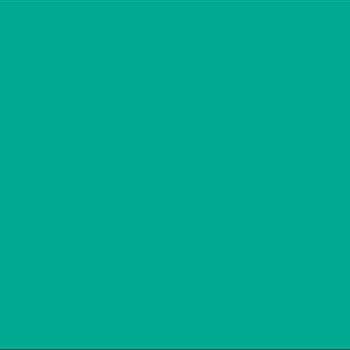 20 Pack PACON CORPORATION CONSTRUCTION PAPER HOLIDAY GRN 9X12