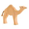 Ostheimer Dromedary view 1