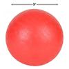 Rhode Island Novelty 9" Playground Ball view 4