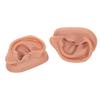 3B Scientific N15 Silicone 2 Acupuncture Ears Model, 3.7" x 2.4" x 1.6" view 2