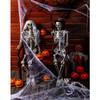 Boland BV Spider Web 150 cm with Spider Halloween view 3