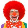 Clown - Red Wig for Hair Accessory Fancy Dress view 3