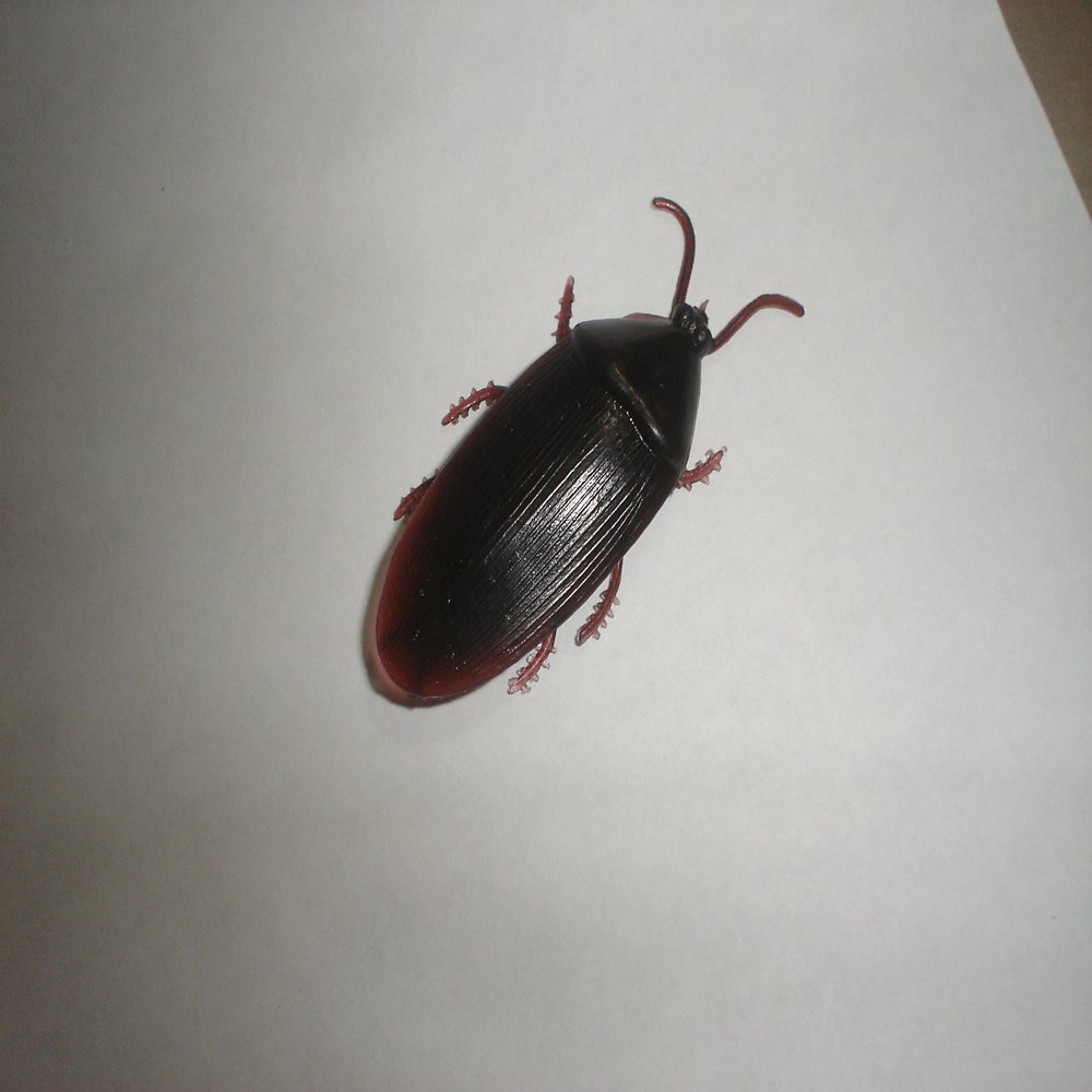 6- Fake Roaches Prank Novelty Cockroach Bugs Look Real