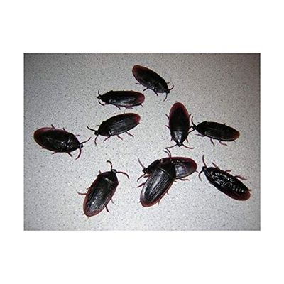 3- Fake Roaches Prank Novelty Cockroach Bugs Look Real