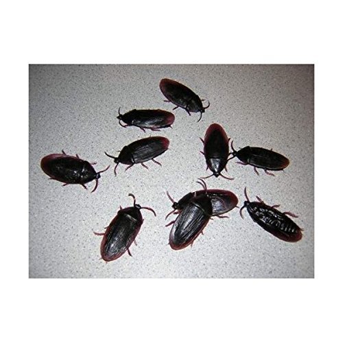3- Fake Roaches Prank Novelty Cockroach Bugs Look Real