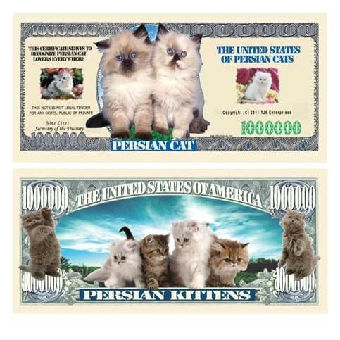(25) Persian Cat Million Dollar Bill