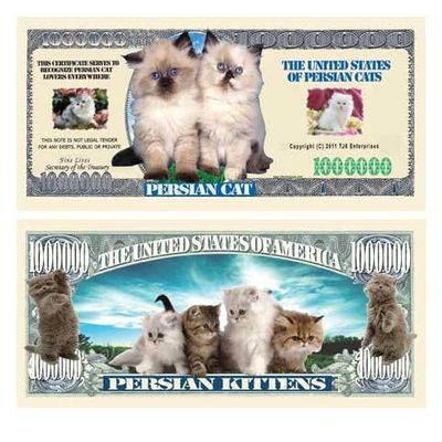 (10) Persian Cat Million Dollar Bill