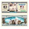 (10) Persian Cat Million Dollar Bill view 1