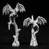 Dark Heaven Legends Striges Miniature 25mm Heroic Scale Reaper Miniatures view 1