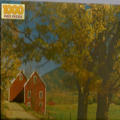 1000pc Jigsaw Puzzle Brownsville, VT