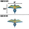 WindNSun Rainforest Nylon Kite, Macaw, 60 Inches Wide view 4